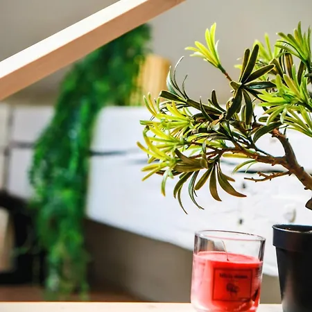 Apartman Old Port Riverside Lofts In Center