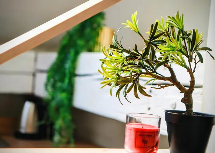 Daire Old Port Riverside Lofts In Center