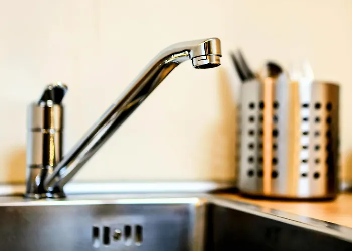 Old Port Riverside Lofts In Center Daire